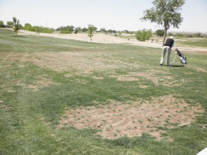 Ladera golf course barren fairway