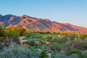 La Paloma Golf Course