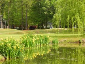 Coosaw Creek Country Club, North Charleston, S.C.