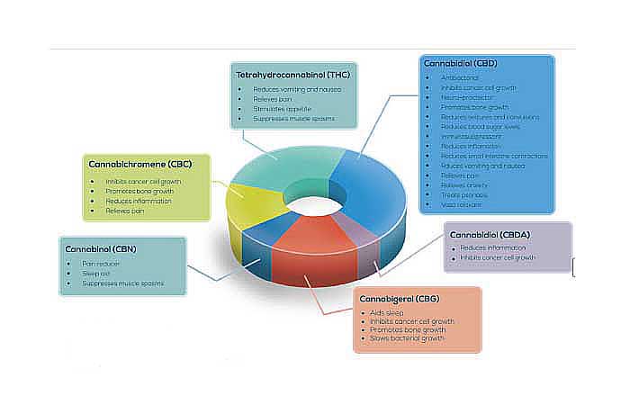 CBD ingredients chart